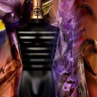 JPG le male elixir /parfum