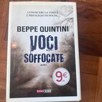 Voci Soffocate. Beppe Quintini