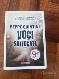 Voci Soffocate. Beppe Quintini
