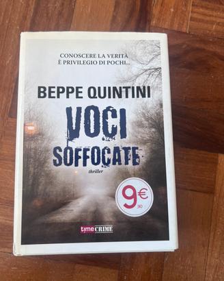 Voci Soffocate. Beppe Quintini