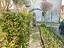 Immagine 23