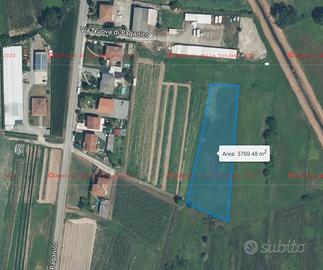 Terreni agricoli a Capannori (LU)