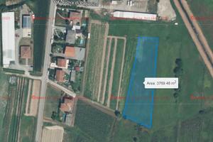 Terreni agricoli a Capannori (LU)