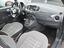 Immagine 11