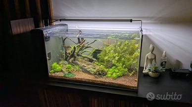 Acquario Aqpet Aqua 60 completo di tutto