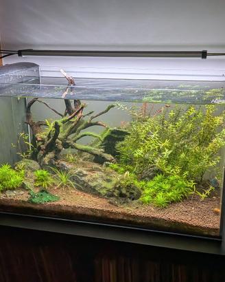 Acquario Aqpet Aqua 60 completo di tutto