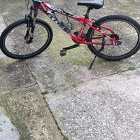 bicicletta 