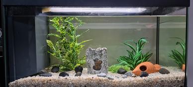 Acquario 66 lt completo di tutto. Pronto all'uso