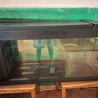 Acquario 60 litri