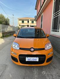 Fiat Panda new 1.2 69cv 2019