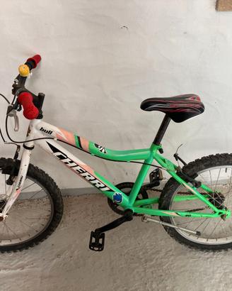 bicicletta bambino