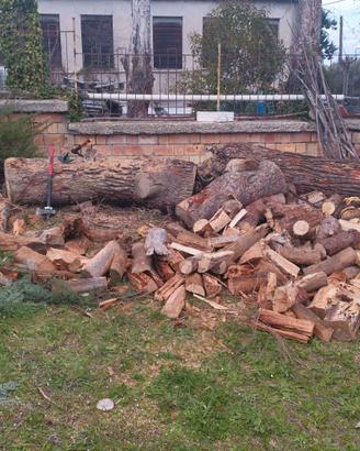 Legna da ardere