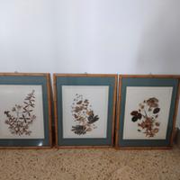 Quadri - Erbario - Fiori secchi - Cornice Bambù -