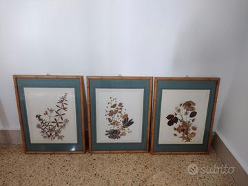 Quadri - Erbario - Fiori secchi - Cornice Bambù -