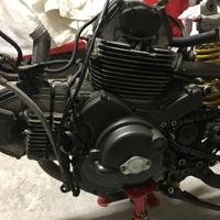 Motore Ducati Monster 600