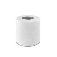 carta igienica 100 rotoli