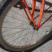 Bici CRUISER donna