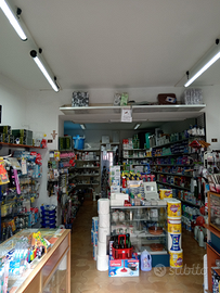 Attività commerciale