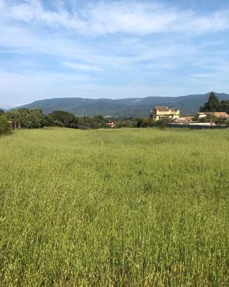 Ampio Terreno Frazionato in Campagna Abitativa