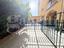 Immagine 26
