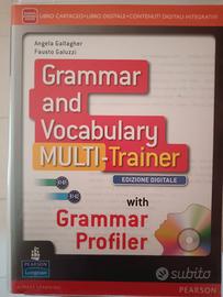 grammar and vocabulary 