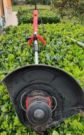 Tagliabordi elettrico 