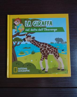 La giraffa nel delta dell' Okavango 