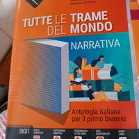 due Libri di italiano 