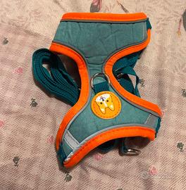 Imbracatura e guinzaglio 