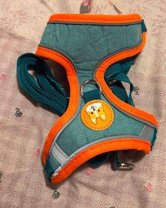 Imbracatura e guinzaglio 