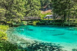 01-08 agosto bilocale a pinzolo