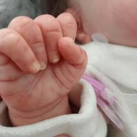 bambola reborn Vivienne  by Sandy Faber 