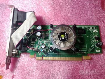 Scheda Video Nvidia Geforce 7500 LE