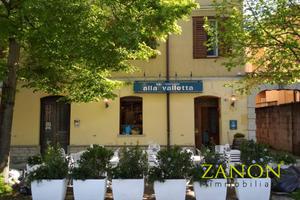 Locale commerciale - Gorizia