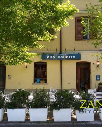 Locale commerciale - Gorizia