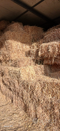 Paglia e foraggio