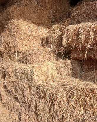Paglia e foraggio