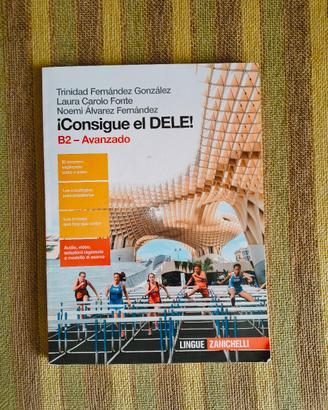 Libro Francese Consigue el dele -B2
