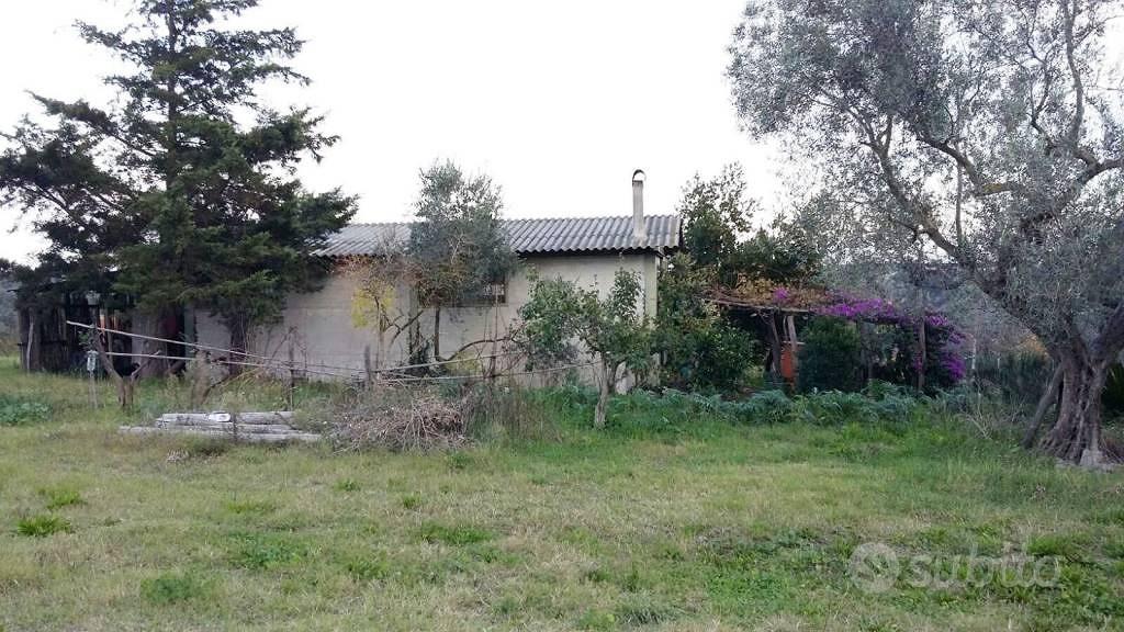 Terreno di 65 m² a Tuscania - Vista 2
