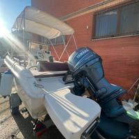 Barca con yamaha 40/60 con carrello