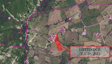 RGE 29/2023 Trib Salerno - LOTTO 2
