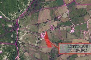 RGE 29/2023 Trib Salerno - LOTTO 2