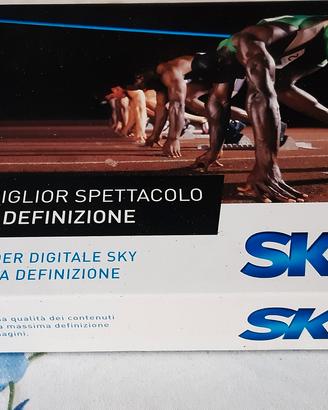 decoder digitale ski 