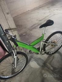 bicicletta