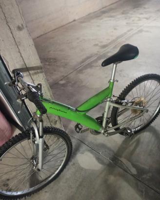 bicicletta