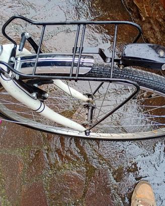 bicicletta donna