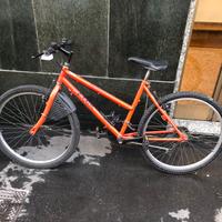 Mountain bike ruota 26