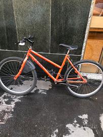 Mountain bike ruota 26