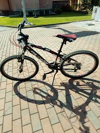 Bicicletta da bambino