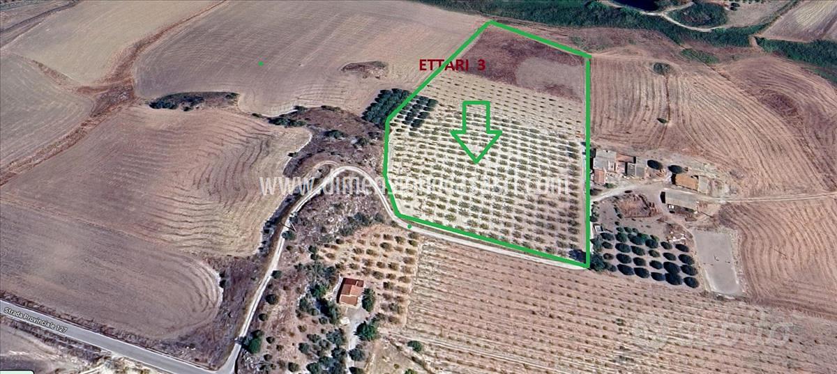Rif.TA67-Terreno agricolo Caltanissetta - Altro